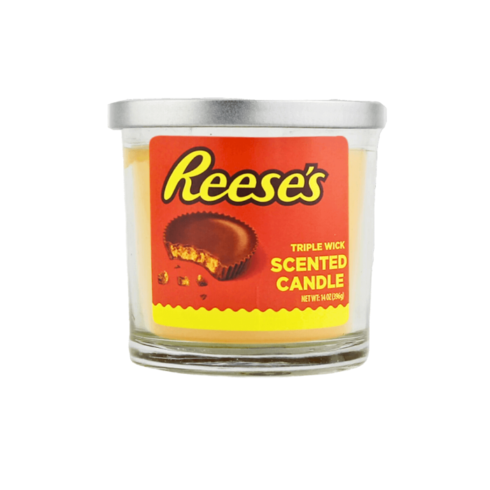 Scented Candle Assorted Variety 14oz