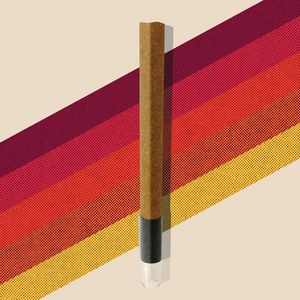 Marz 1988 Infused Blunt