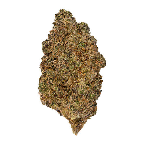 Cinnamon Milk Flower