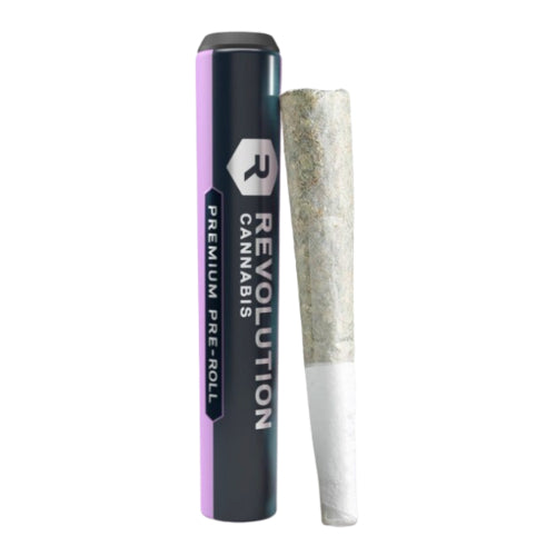 The Stepsister Pre-Roll