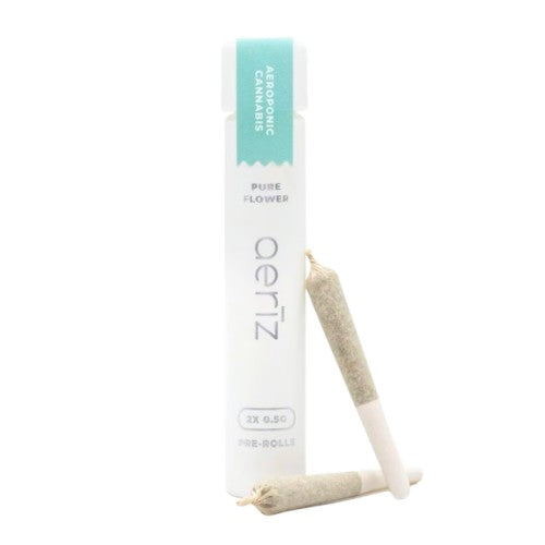 Jungle Juice Nug Roll Pre-Roll Pack