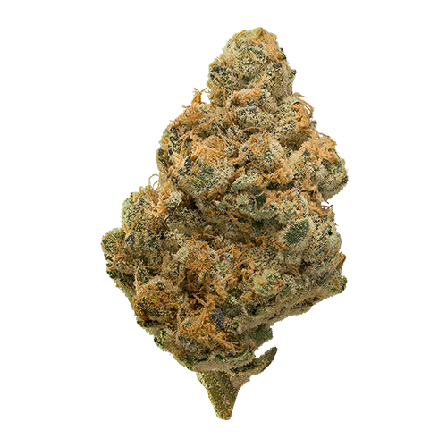 Gas Station Sushi Flower