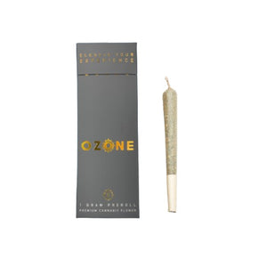 Fruit Guru Pre-Roll