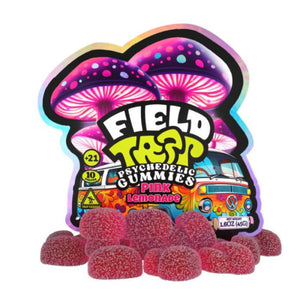 University Field Trip Psychedelic Gummies - 10 Counts Per Pack